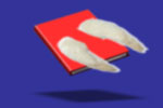 Fly little book fly away!