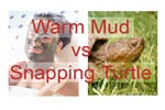 Which is better? Mud smeared on your face and into your pours or a snapping turtle?