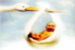 Storks bring babies