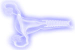 Sexy hot vagina