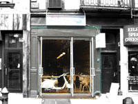 Bar Veloce (Nolita)