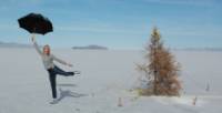 Amy Hall